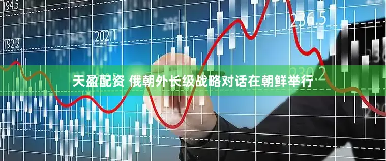 天盈配资 俄朝外长级战略对话在朝鲜举行