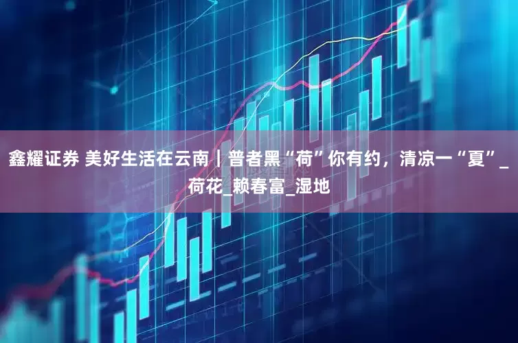 鑫耀证券 美好生活在云南｜普者黑“荷”你有约，清凉一“夏”_荷花_赖春富_湿地