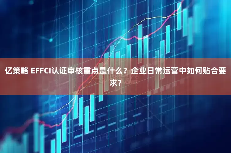 亿策略 EFFCI认证审核重点是什么？企业日常运营中如何贴合要求？